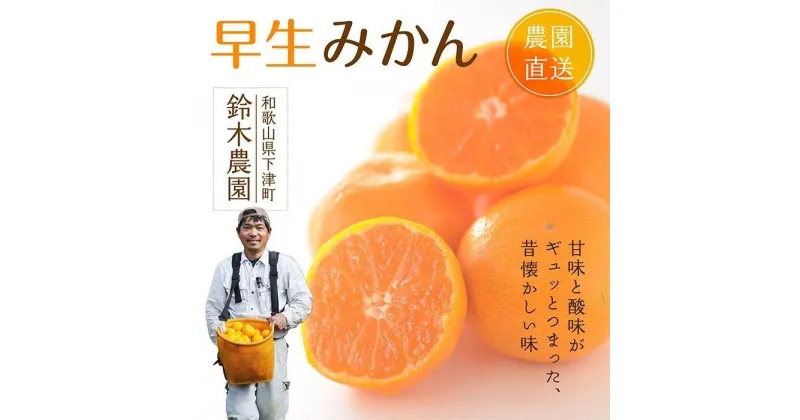 【ふるさと納税】【選べる出荷月！11月後半・12月前半or後半】早生みかん【訳あり】5kg混合サイズ【和歌山の早生みかん】〈昔ながらのみかん〉鈴木みかん農園より農園直送で順次発送予定※北海道・沖縄・離島への配送不可 | 防腐剤不使用 ワックス不使用 蜜柑 フルーツ 果物