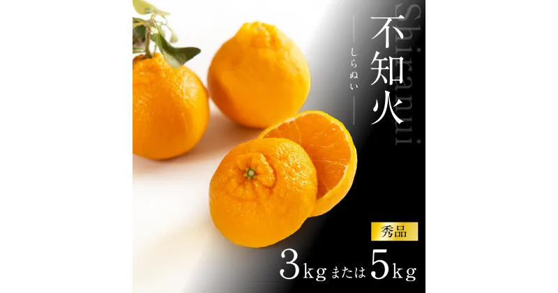 【ふるさと納税】不知火3kg（大玉9～11玉入り) または 5kg（15～24玉入り)《赤秀》和歌山県より農園直送！まごころ産直みかん 【北海道・沖縄県・一部離島 配送不可】 | みかん 果物 くだもの 柑橘 かんきつ しらぬい でこぽん ふるさと納税 和歌山 海南 返礼品 送料無料