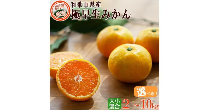 【ふるさと納税】極早生みかん2kg～10kg (大小混合)《ご家庭用》ちょっと訳あり　和歌山県より農園直送！まごころ産直みかん【北海道・沖縄県・一部離島 配送不可】 | 混合サイズ ミカン 蜜柑 温州みかん わけあり 訳アリ 特産品 名産品 果物 くだもの フルーツ