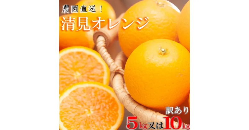 【ふるさと納税】清見オレンジ5kg または 10kg（大小混合）《ご家庭用》ちょっと訳あり　和歌山県より農園直送！まごころ産直みかん【北海道・沖縄県・一部離島 配送不可】 | 和歌山 果物 みかん 訳アリ わけあり 清見タンゴール 清美