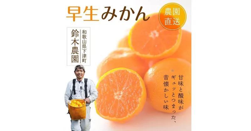 【ふるさと納税】早生みかん（希少な小粒2S～3Sサイズ）5kg混合11月中旬～12月下旬頃に鈴木みかん農園より農園直送 3Sサイズ 2Sサイズ 2S SS 小玉 小さい※北海道・沖縄・離島への配送不可　ミカン　蜜柑　mikan　温州みかん 温州ミカン　わけあり　訳アリ