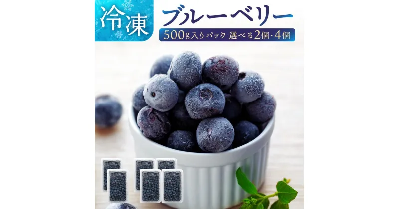 【ふるさと納税】冷凍 ブルーベリー 500g ×4パック または 500g × 2パック | 国産 果物 フルーツ 冷凍フルーツ 冷凍果物 南国紀州 和歌山県産 ポリフェノール 新鮮 風味 急速冷凍 家庭用 眼精疲労 目に良い 食物繊維 健康効果 返礼品 海南市 和歌山