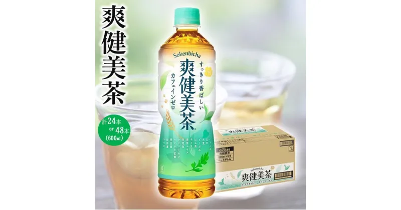 【ふるさと納税】コカ・コーラ 爽健美茶 600ml 選べる本数 24本 or 48本 | コカコーラ 茶 お茶 おちゃ ペットボトル PET 飲料 飲み物 ドリンク 人気 おすすめ 送料無料 お取り寄せ そうけんびちゃ 和歌山県 海南市