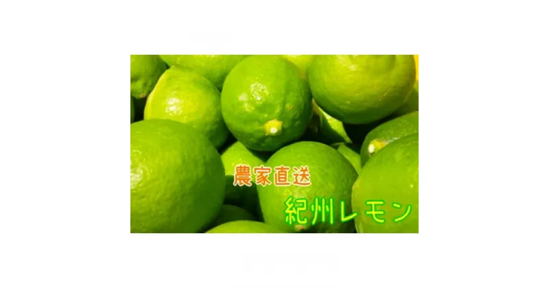 【ふるさと納税】【国産】農家直送!　紀州レモン　約3kg