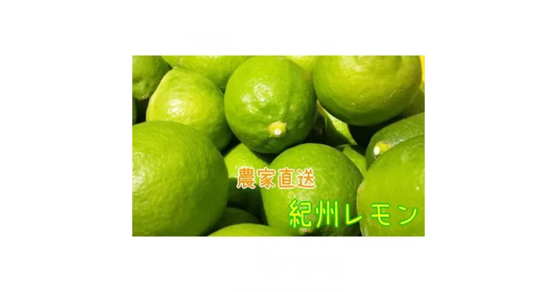 【ふるさと納税】農家直送 紀州 レモン 約2kg