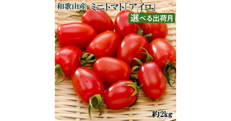 【ふるさと納税】和歌山産ミニトマト「アイコトマト」約2kg（S・Mサイズおまかせ）