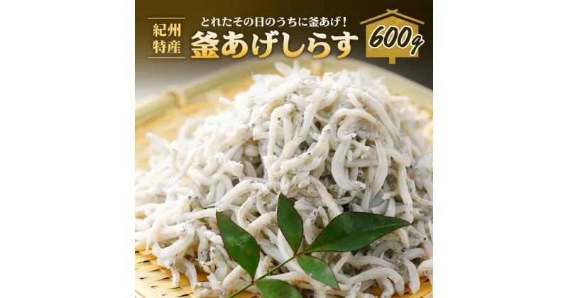 【ふるさと納税】紀州特産 釜あげしらす 600g 1パック | しらす丼 丼ぶり 魚 さかな ご飯 ごはん 炒飯 チャーハン パスタ スパゲティ サラダ 卵焼き お取り寄せ グルメ 人気 おすすめ 和歌山県 海南市