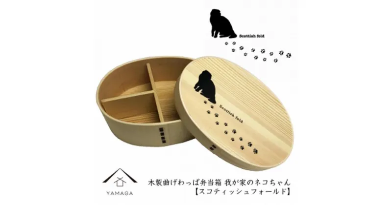 【ふるさと納税】紀州漆器 曲げわっぱ まげわっぱ 弁当箱【スコティッシュフォールド】 我が家のネコちゃんシリーズ