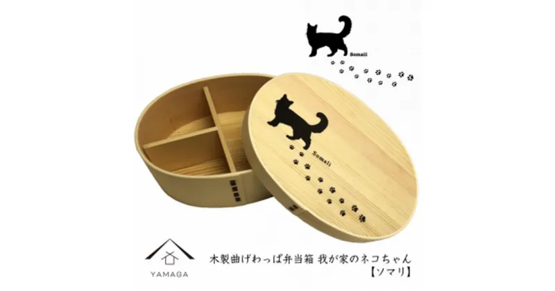 【ふるさと納税】紀州漆器 曲げわっぱ まげわっぱ 弁当箱【ソマリ】 我が家のネコちゃんシリーズ