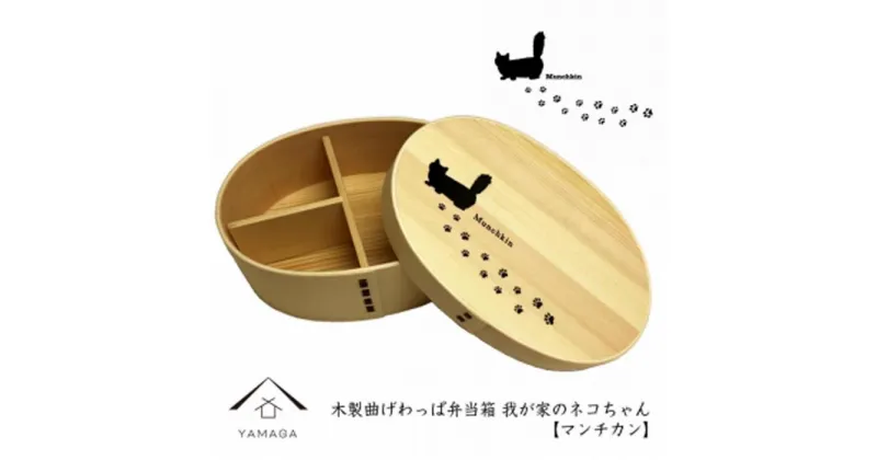 【ふるさと納税】紀州漆器 曲げわっぱ まげわっぱ 弁当箱 【マンチカン】我が家のネコちゃんシリーズ