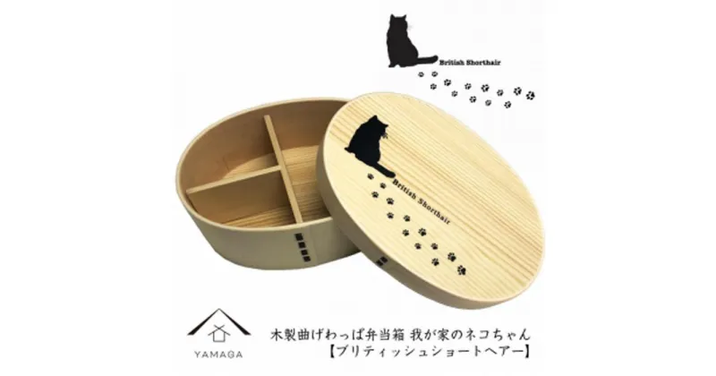 【ふるさと納税】紀州漆器 曲げわっぱ まげわっぱ 弁当箱【ブリティッシュショートヘアー】 我が家のネコちゃんシリーズ