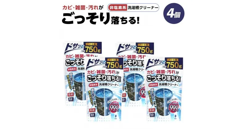 【ふるさと納税】非塩素系洗濯槽クリーナー | 日本製 非塩素系 洗濯槽クリーナー 紀陽除虫菊 カビ 雑菌 クリーナー 送料無料