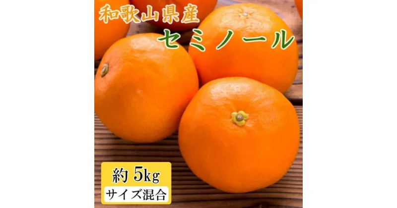 【ふるさと納税】和歌山県産セミノールオレンジ約5kg(サイズ混合　秀品)★2025年4月頃より順次発送【TM146】