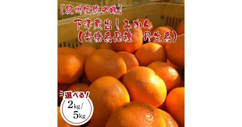 【ふるさと納税】【紀州伝統の味】下津蔵出しみかん（高糖系品種　丹生系）【S～L混合サイズ】【先行予約】 | ふるさと納税 楽天ふるさと 和歌山 和歌山県 海南市 返礼品 蔵出し お礼の品 特産品 果物 フルーツ ミカン 蜜柑 柑橘類 みかん 混合 糖度 高糖度