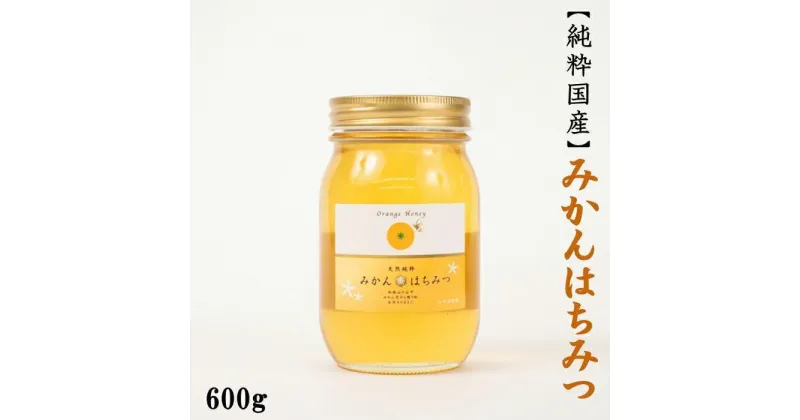 【ふるさと納税】【純粋国産】和歌山県産みかんはちみつ600g★2025年1月下旬発送【TM55】