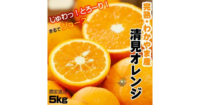 【ふるさと納税】清見オレンジ5kg《訳あり》大小混合＼家庭用や生搾りジュースにもおすすめ／昔ながらのみかん鈴木農園より農園直送｜清美 きよみ キヨミ タンゴール 果汁が多い 3月 4月※北海道・沖縄県・離島 配送不可