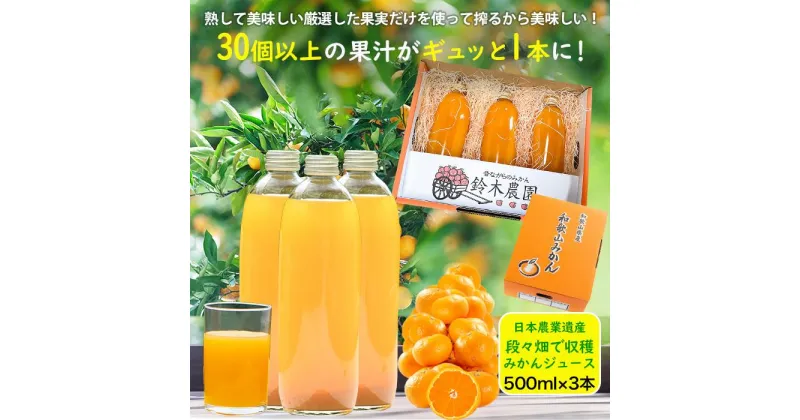 【ふるさと納税】みかんジュース《500ml×3本》 無添加ストレートのおいしい蔵出しみかん果汁！ミカンをそのまま絞った濃厚な味を鈴木農園より農園直送｜贈答 ギフト プレゼント おやつ 朝食 | 飲料 ドリンク 食品 人気 おすすめ 送料無料