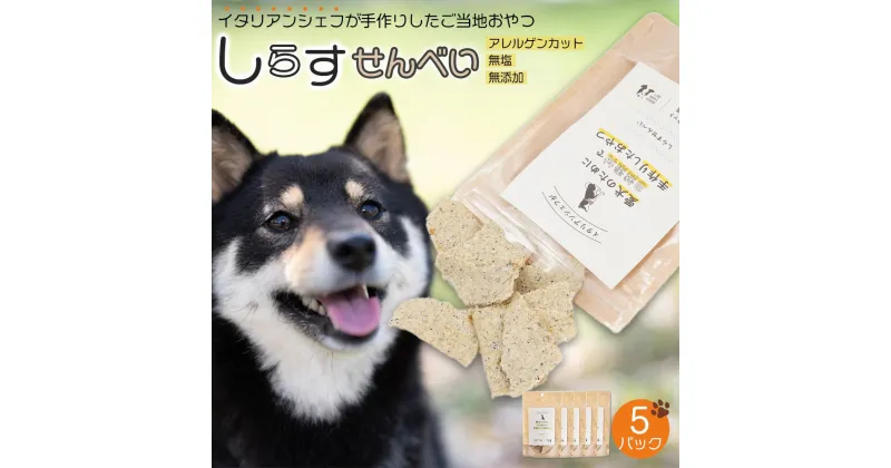 【ふるさと納税】しらす せんべい ( 愛 犬 ワン 友 無添加 無塩 おやつ ) 5P ペット REICAFE