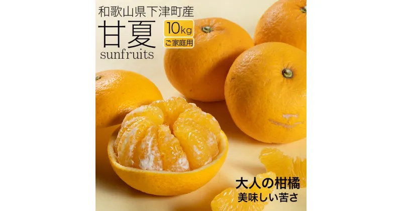 【ふるさと納税】甘夏10kg（大小混合）《ご家庭用》和歌山県より農園直送！まごころ産直みかん【北海道・沖縄県・一部離島 配送不可】サンフルーツ 新甘夏 田ノ浦オレンジ あまなつ みかん | みかん 蜜柑 フルーツ 果物 くだもの 食品 人気 おすすめ 送料無料