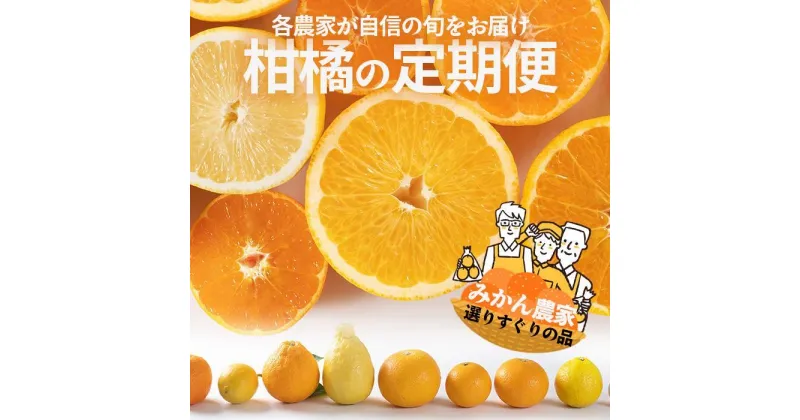 【ふるさと納税】【定期便/全10回】厳選・柑橘の定期便 和歌山県下津町から農園直送！まごころ産直みかん【北海道・沖縄県・一部離島 配送不可】旬 みかん 早生 由良 完熟 蔵出し 津之輝 甘夏 不知火