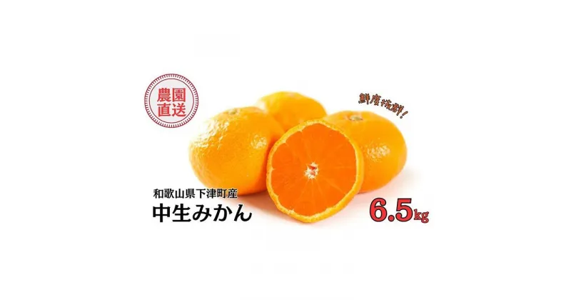 【ふるさと納税】中生みかん6.5kg(大小混合)《ご家庭用》ちょっと訳あり【先行予約】和歌山県下津町より農園直送！12月中旬頃発送開始 まごころ産直みかん 【北海道・沖縄県・一部離島 配送不可】混合サイズ わけあり 訳アリ | フルーツ 果物 食品 人気 おすすめ 送料無料