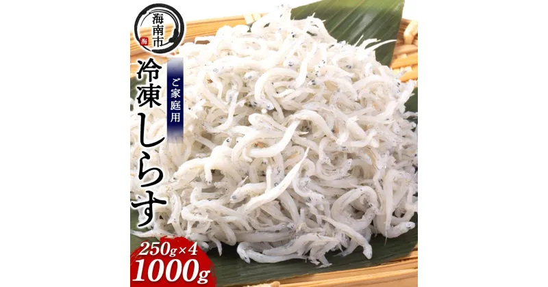 【ふるさと納税】産地直送 ご家庭用 冷凍 しらす 1000g （250g × 4 ）（ 冷凍 ） | 魚 お魚 さかな 食品 人気 おすすめ 送料無料