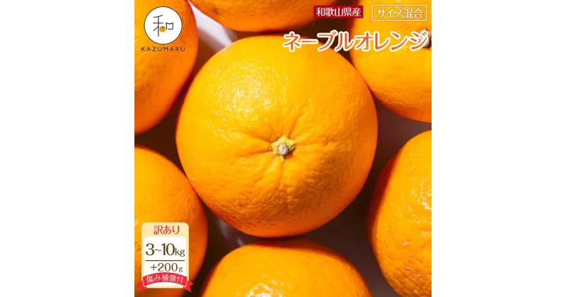 【ふるさと納税】訳あり 森本農園の手選別 ネーブルオレンジ 3kg or 7kg or 10kg 各200g傷み補償付 和歌山県産 サイズ混合 【北海道・沖縄・離島配送不可】 | みかん 蜜柑 フルーツ 果物 くだもの 食品 人気 おすすめ 送料無料