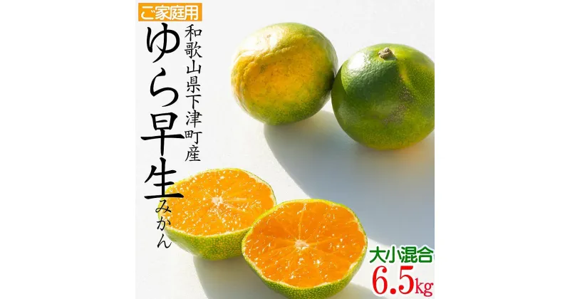 【ふるさと納税】ゆら早生みかん6.5kg(大小混合)ちょっと訳あり《ご家庭用》味の濃い極早生みかんを和歌山県より農園直送！まごころ産直みかん【北海道・沖縄県・一部離島 配送不可】訳あり わけあり 美味しい 人気品種 | フルーツ 果物 食品 人気 おすすめ 送料無料