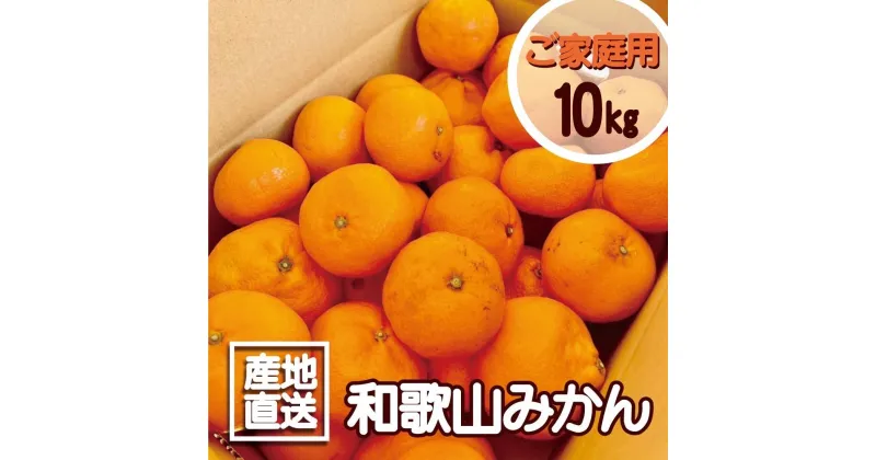 【ふるさと納税】【訳あり】和歌山みかん 約9.5kg+補償分約500g サイズ混合 11月より順次発送　訳ありみかん | みかん 蜜柑 フルーツ 果物 くだもの 食品 人気 おすすめ 送料無料