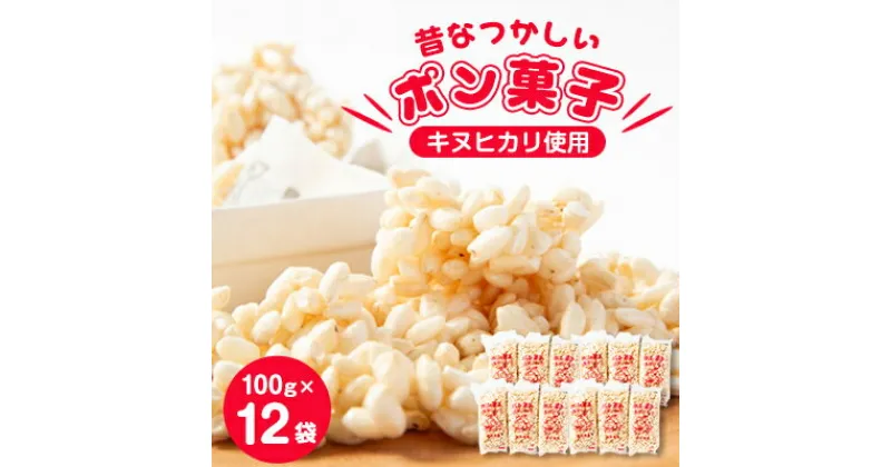 【ふるさと納税】昔なつかしい　ポン菓子(100g×12袋)【1143588】