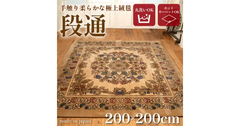 【ふるさと納税】絨毯 ラグマット 2畳 正方形 200×200 洗える 厚手 キャニオン ベージュ【1253844】