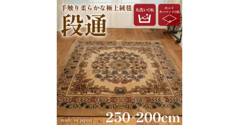 【ふるさと納税】絨毯 ラグマット 3畳 長方形 250×200 洗える 厚手 キャニオン ベージュ【1253868】