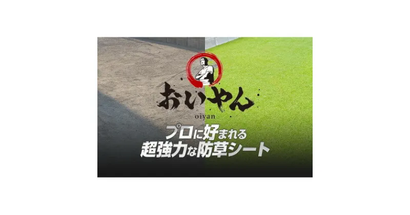 【ふるさと納税】ガーデニングや庭の景観改善に使用　雑草を防ぎ草抜き作業を軽減　枯草が混じる冬の人工芝防草シート【1307891】