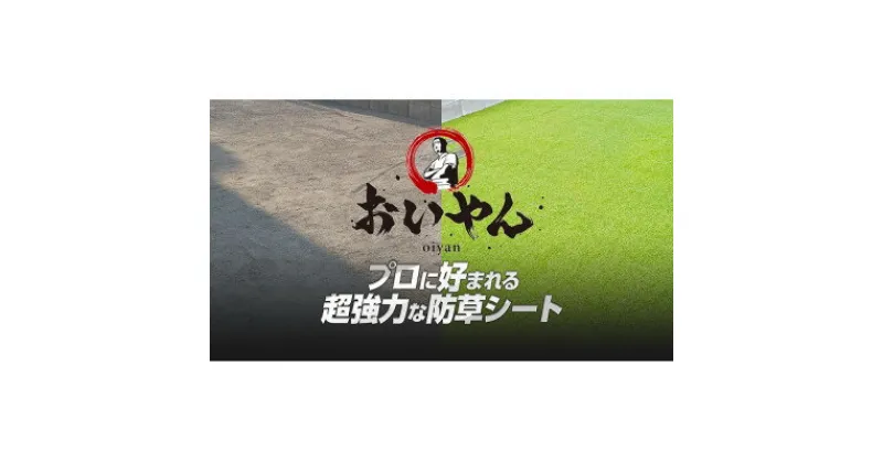 【ふるさと納税】ガーデニングや庭の景観改善に使用　雑草を防ぎ草抜き作業を軽減　青々とした夏の人工芝防草シート【1314927】