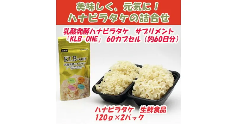 【ふるさと納税】ハナビラタケの詰合せ　＜生鮮品120g×2p＞+＜健康食品1袋(60カプセル、約60日分)＞【配送不可地域：離島】【1323276】