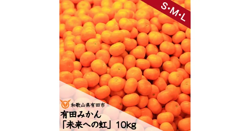 【ふるさと納税】有田みかん「未来への虹」 10kg（A2-1）みかん ミカン mikan 有田 有田市 ありだ 和歌山 送料無料 産地直送 フルーツ 果物 てんこ盛り てんこもり 本場 甘い 濃厚 ジューシー S M L ふるさと納税 ふるさと 応援 寄附 先行予約