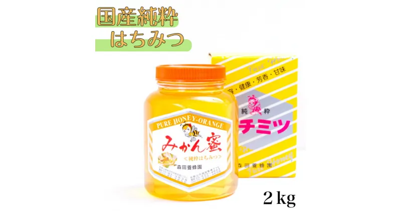 【ふるさと納税】国産純粋はちみつ(みかん蜜) 2Kg(A89-1)