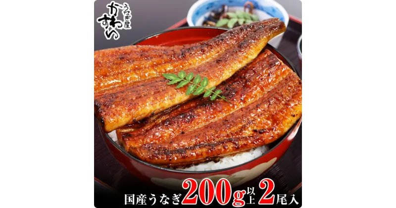 【ふるさと納税】〈うなぎ屋かわすい〉超特大国産うなぎ2本セット(1尾：200～229g)（A113-1）