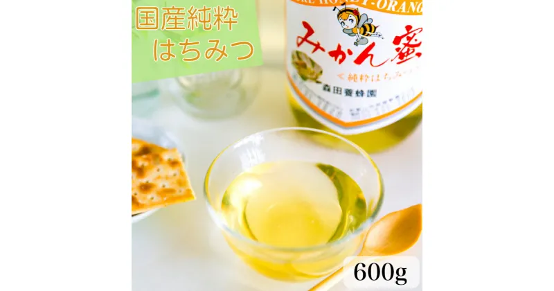 【ふるさと納税】国産純粋はちみつ(みかん蜜) 600g(A163-1)