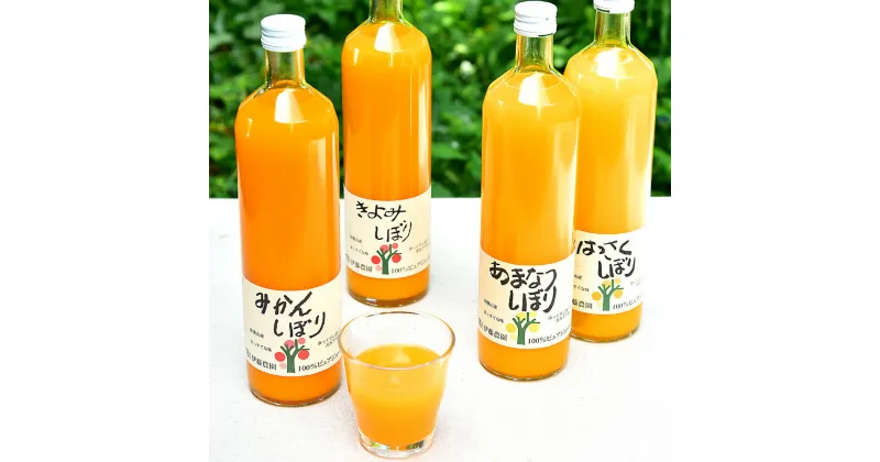 【ふるさと納税】伊藤農園 ストレートみかんジュース おすすめ 詰め合わせセット【750ml×6本セット】(A224-1) ふるさと納税　ジュース みかんジュース みかん オレンジジュース