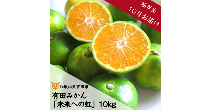 【ふるさと納税】◇10月お届け◇厳選 有田みかん「未来への虹」10kg(A233-1)送料無料 産地直送 フルーツ 果物 本場 和歌山 有田 有田市 ありだ みかん 甘酸っぱい 甘い 酸味 濃厚 凝縮 コク ジューシー 極早生（ごくわせ） ふるさと 応援 寄附 先行予約