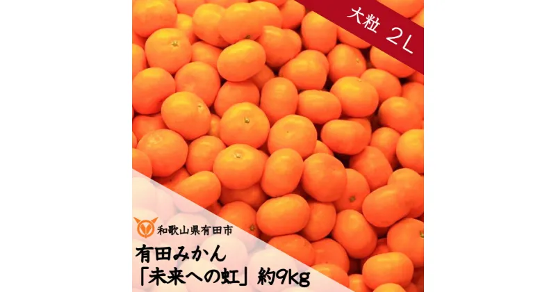 【ふるさと納税】大粒・2L 有田みかん「未来への虹」約9kg（A240-1）送料無料 産地直送 フルーツ 果物 てんこ盛り てんこもり 本場 和歌山 有田 有田市 ありだ みかん 幸せの連鎖 甘い 濃厚 凝縮 コク ジューシー 2L ふるさと 応援 寄附 先行予約