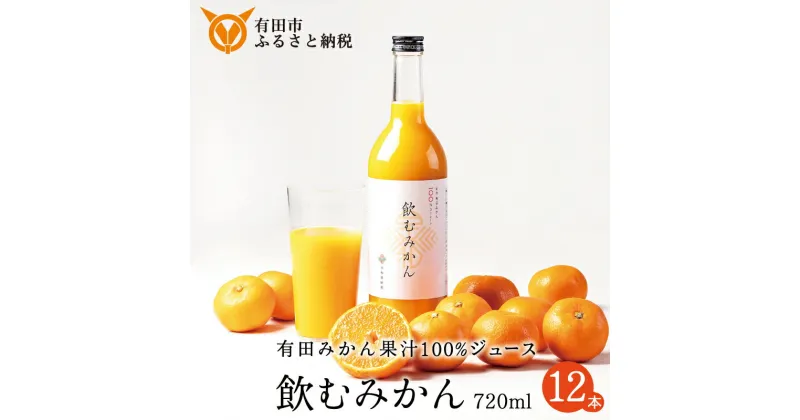 【ふるさと納税】早和果樹園 飲むみかん720ml×12本入（A346-1） 有田みかん100％ストレートジュース 無添加