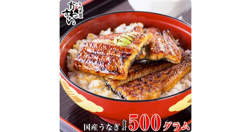 【ふるさと納税】〈うなぎ屋かわすい〉国産うなぎ蒲焼きカット500gセット(A448-1)