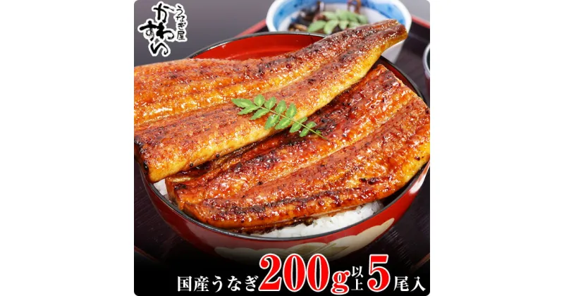 【ふるさと納税】〈うなぎ屋かわすい〉超特大サイズ国産うなぎ蒲焼き5本セット（合計1kg）(A489-1)