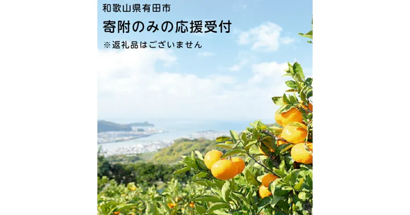 【ふるさと納税】和歌山県有田市 寄附のみの応援受付（返礼品なし） 10,000円（A00-1）