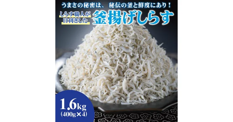 【ふるさと納税】しらす職人が目利きした「釜揚げしらす」1.6kg(A535-1)