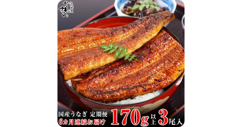 【ふるさと納税】【定期便】〈うなぎ屋かわすい〉国産うなぎ蒲焼き特大サイズ3本セット（6ヶ月お届け）(A585-1)国産 うなぎ 蒲焼き 国産うなぎ うなぎ蒲焼き