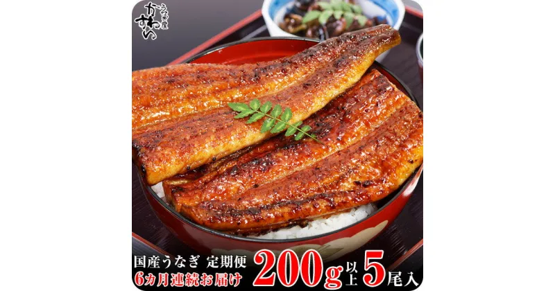 【ふるさと納税】【定期便】〈うなぎ屋かわすい〉国産うなぎ蒲焼き超特大サイズ5本セット（6ヶ月お届け）(A592-1)国産 うなぎ 蒲焼き 国産うなぎ うなぎ蒲焼き