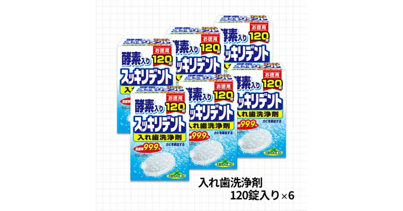 【ふるさと納税】入れ歯洗浄剤セット(A885-1)